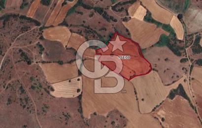 BALIKESİR BİGADİÇTE ÜNİVERSİTE DİBİ 17.990 M2 SATILIK TARLA