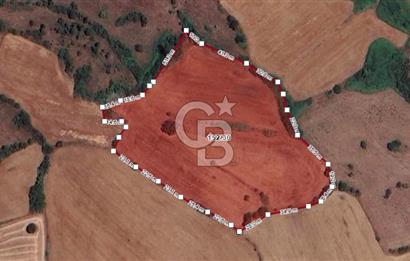 BALIKESİR BİGADİÇTE ÜNİVERSİTE DİBİ 17.990 M2 SATILIK TARLA