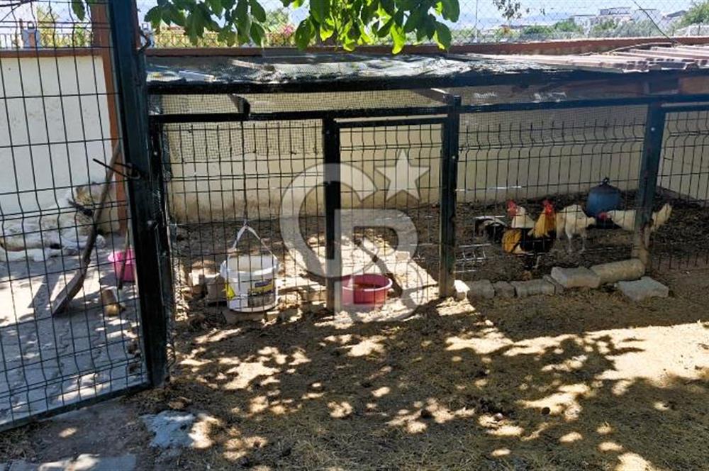 Manisa Akhisar Doktorlar Sitesi’nde Havuzlu ve Geniş Villa!