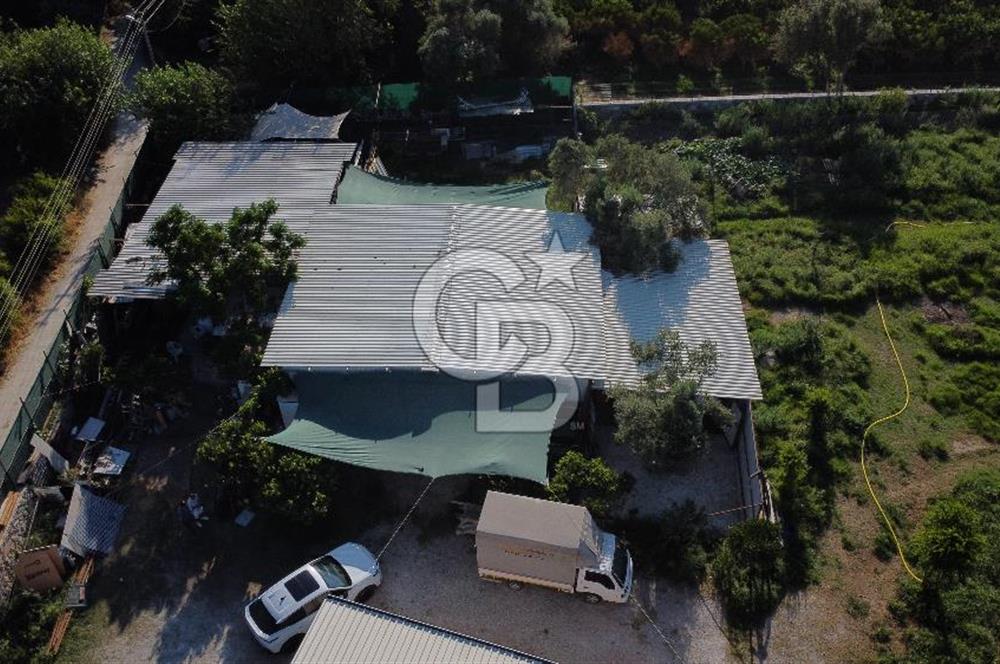 Bodrum Dereköy'de Kiralık 50 M² Depo