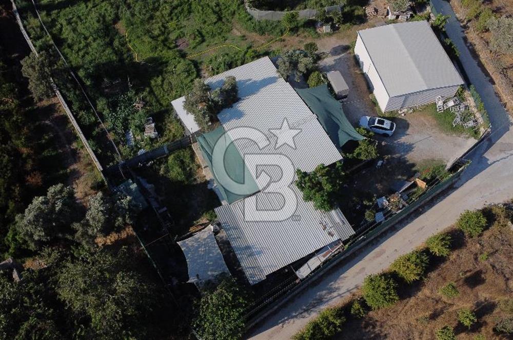 Bodrum Dereköy'de Kiralık 50 M² Depo