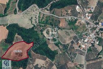 CB CLASS FIRSAT FİYAT!!! SATILIK ARAZİ YAMAN KÖYÜ MUDANYA