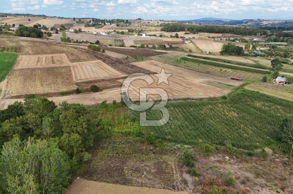 CB TAN- İZMİT BAĞLICA'DA 1521 M2 SATILIK YATIRIMLIK FIRSAT TARLA