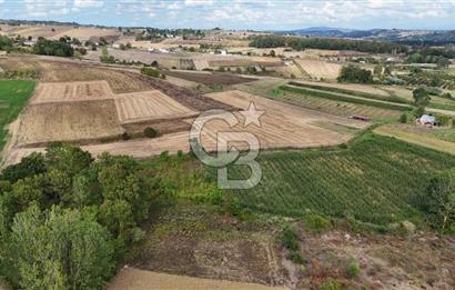 CB TAN- İZMİT BAĞLICA'DA 1521 M2 SATILIK YATIRIMLIK FIRSAT TARLA