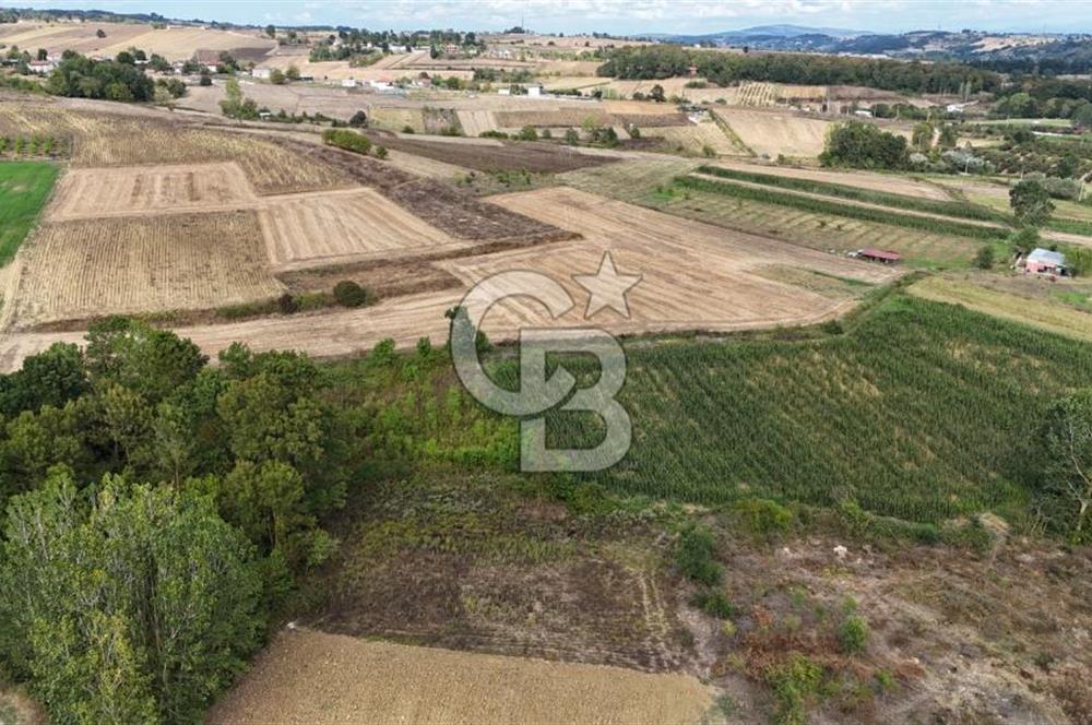 CB TAN- İZMİT BAĞLICA'DA 1521 M2 SATILIK YATIRIMLIK FIRSAT TARLA