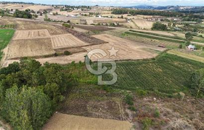 CB TAN- İZMİT BAĞLICA'DA 1521 M2 SATILIK YATIRIMLIK FIRSAT TARLA
