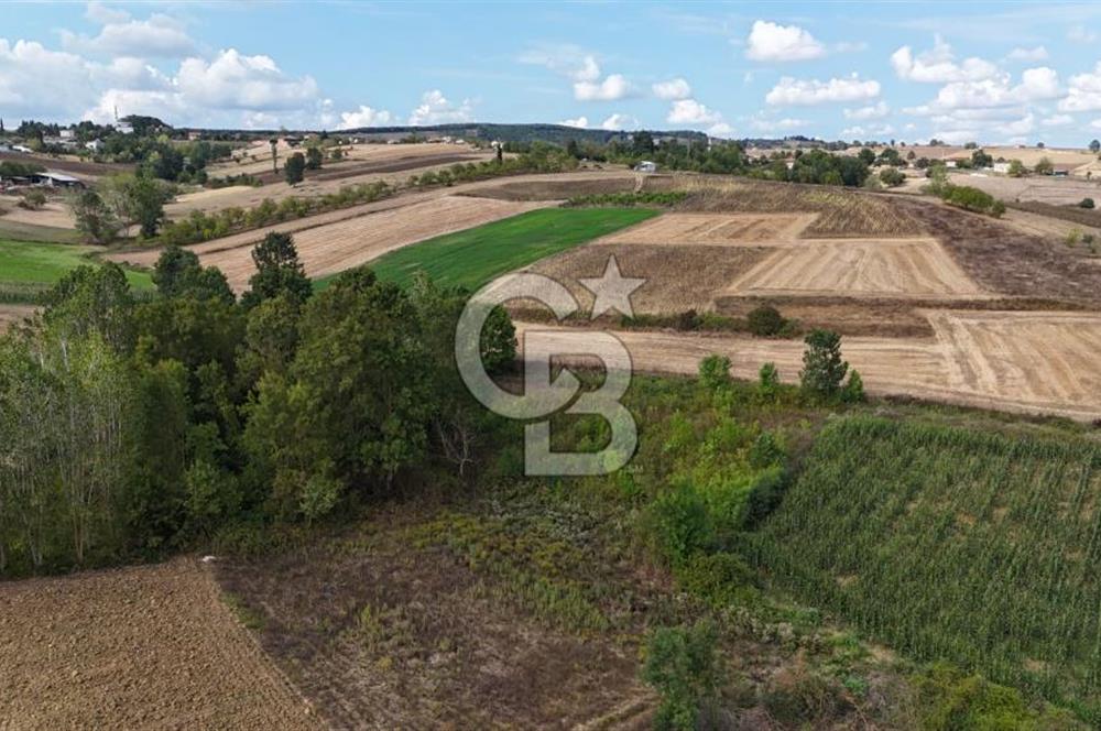 CB TAN- İZMİT BAĞLICA'DA 1521 M2 SATILIK YATIRIMLIK FIRSAT TARLA