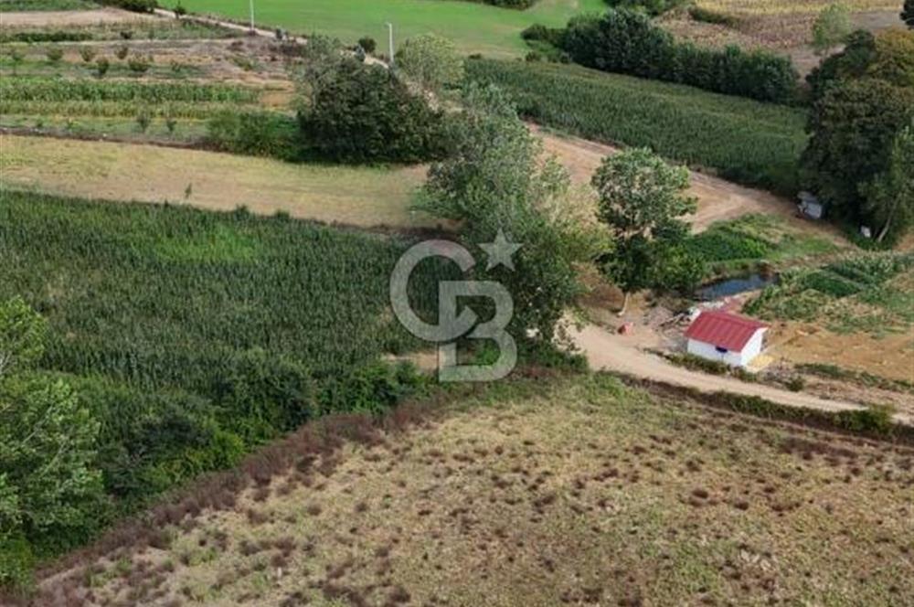 CB TAN- İZMİT BAĞLICA'DA 1521 M2 SATILIK YATIRIMLIK FIRSAT TARLA