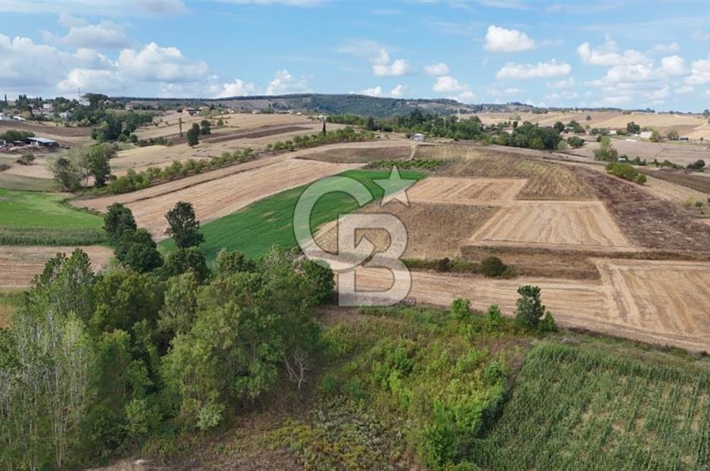 CB TAN- İZMİT BAĞLICA'DA 1521 M2 SATILIK YATIRIMLIK FIRSAT TARLA