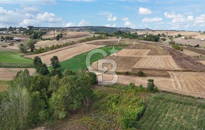 CB TAN- İZMİT BAĞLICA'DA 1521 M2 SATILIK YATIRIMLIK FIRSAT TARLA