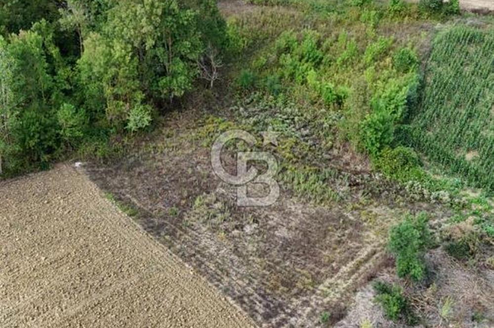 CB TAN- İZMİT BAĞLICA'DA 1521 M2 SATILIK YATIRIMLIK FIRSAT TARLA