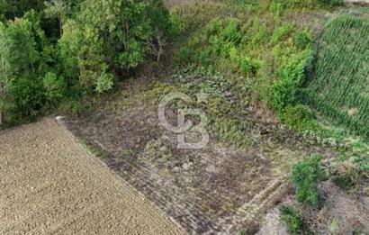 CB TAN- İZMİT BAĞLICA'DA 1521 M2 SATILIK YATIRIMLIK FIRSAT TARLA