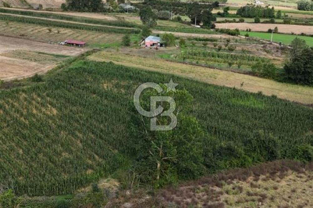 CB TAN- İZMİT BAĞLICA'DA 1521 M2 SATILIK YATIRIMLIK FIRSAT TARLA