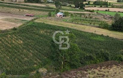 CB TAN- İZMİT BAĞLICA'DA 1521 M2 SATILIK YATIRIMLIK FIRSAT TARLA