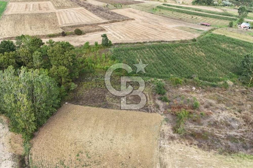 CB TAN- İZMİT BAĞLICA'DA 1521 M2 SATILIK YATIRIMLIK FIRSAT TARLA