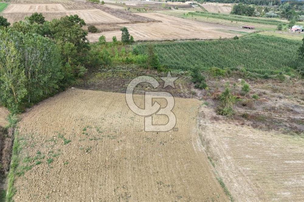 CB TAN- İZMİT BAĞLICA'DA 1521 M2 SATILIK YATIRIMLIK FIRSAT TARLA