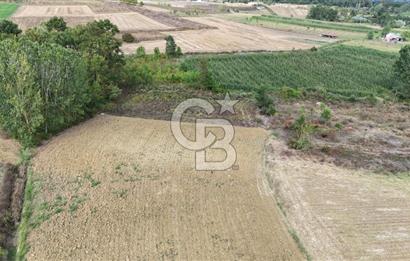 CB TAN- İZMİT BAĞLICA'DA 1521 M2 SATILIK YATIRIMLIK FIRSAT TARLA