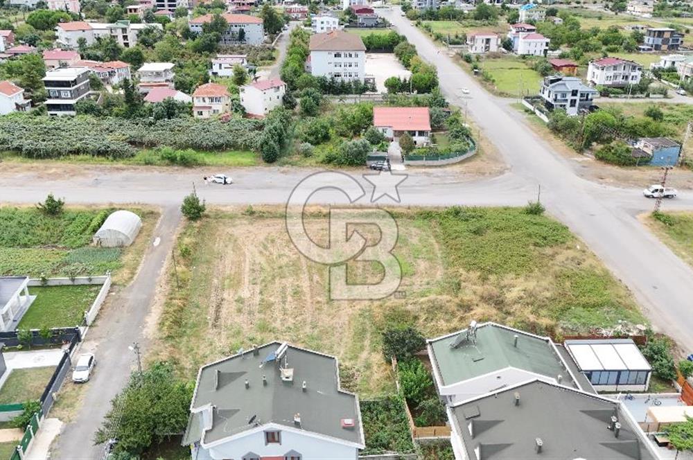 SAMSUN TAFLAN'DA BULVAR YOLUNA CEPHE SATILIK 1591 M2 ARSA