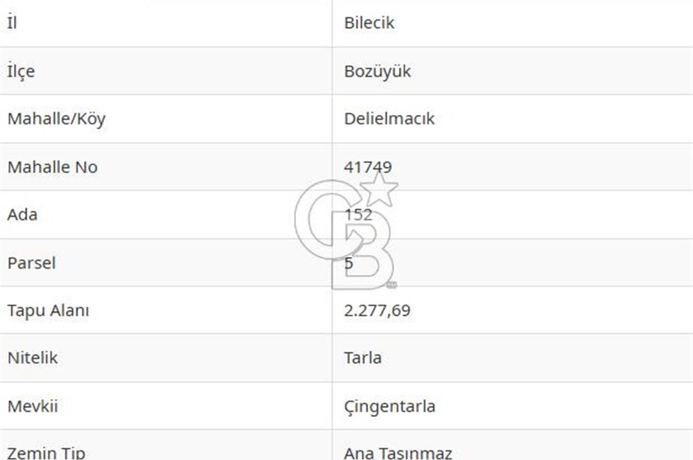 BOZÜYÜK DELİELMACIK'TA ANAYOLA YAKIN SATILIK TARLA