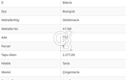 BOZÜYÜK DELİELMACIK'TA ANAYOLA YAKIN SATILIK TARLA