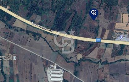 BOZÜYÜK DELİELMACIK'TA ANAYOLA YAKIN SATILIK TARLA