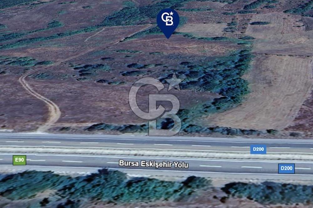 BOZÜYÜK DELİELMACIK'TA ANAYOLA YAKIN SATILIK TARLA