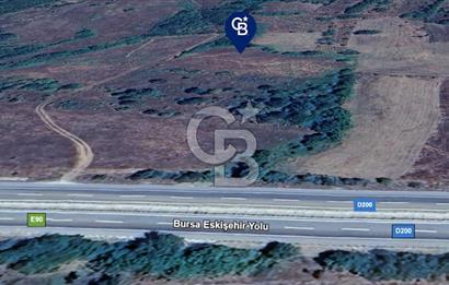 BOZÜYÜK DELİELMACIK'TA ANAYOLA YAKIN SATILIK TARLA