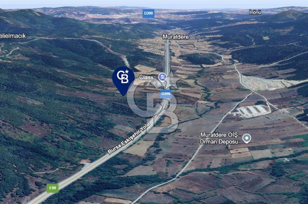 BOZÜYÜK DELİELMACIK'TA ANAYOLA YAKIN SATILIK TARLA
