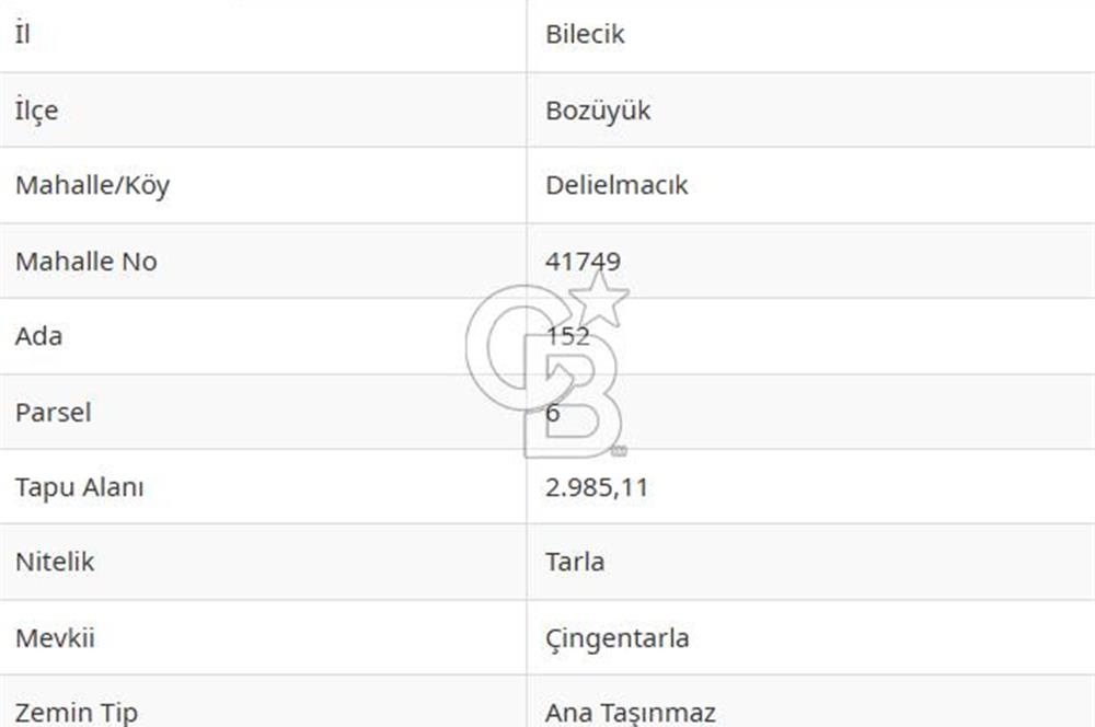 BOZÜYÜK DELİELMACIK'TA ANAYOLA YAKIN SATILIK TARLA