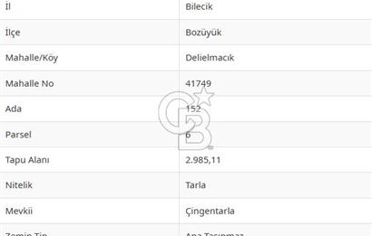 BOZÜYÜK DELİELMACIK'TA ANAYOLA YAKIN SATILIK TARLA