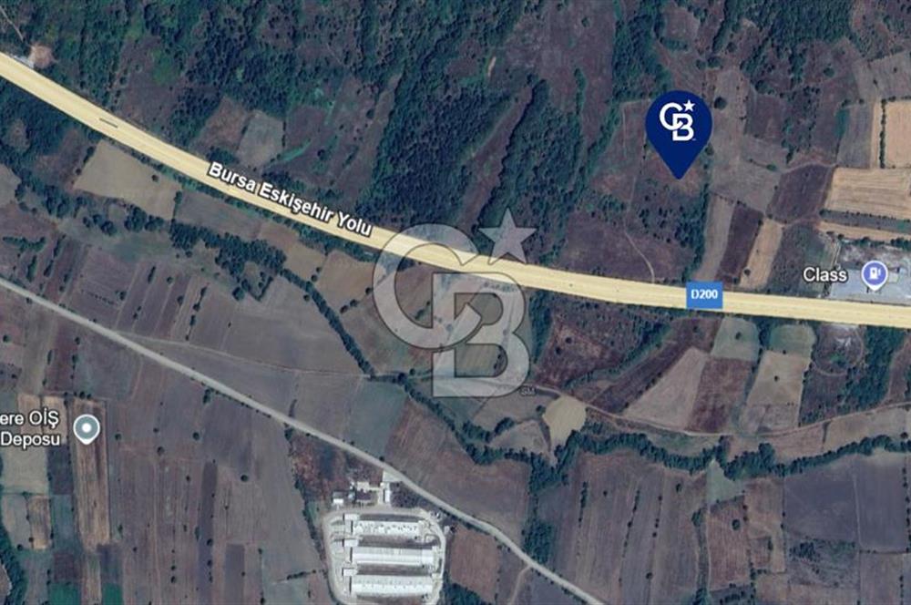 BOZÜYÜK DELİELMACIK'TA ANAYOLA YAKIN SATILIK TARLA