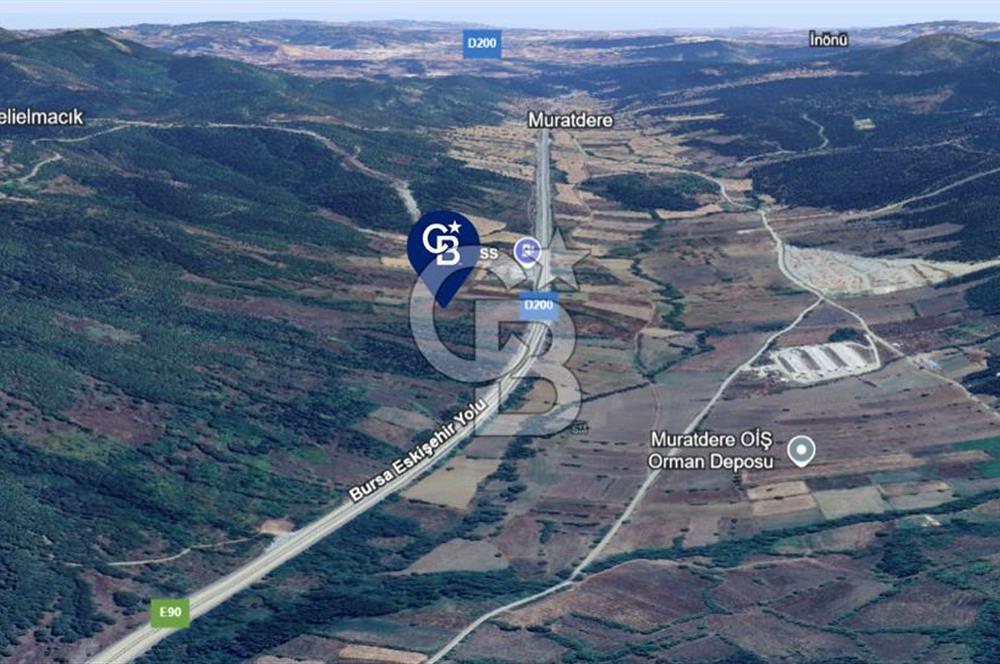 BOZÜYÜK DELİELMACIK'TA ANAYOLA YAKIN SATILIK TARLA