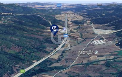BOZÜYÜK DELİELMACIK'TA ANAYOLA YAKIN SATILIK TARLA
