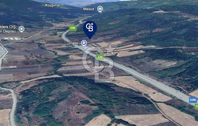 BOZÜYÜK DELİELMACIK'TA ANAYOLA YAKIN SATILIK TARLA