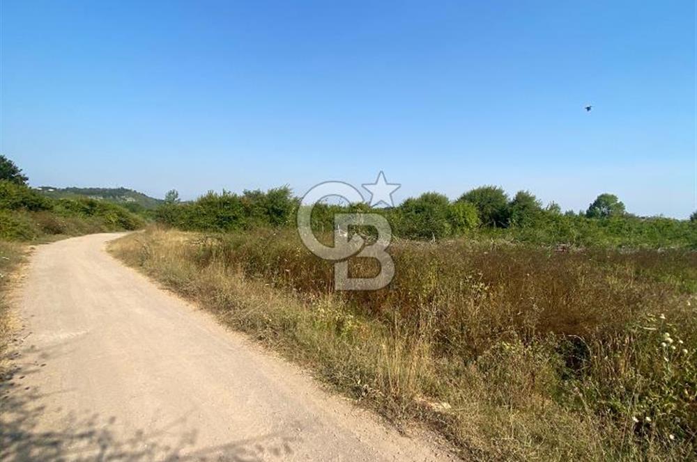 ŞİLE KURFALLI 'DA 1515 M2 YOLA CEPHELİ SATILIK YATIRIMLIK TARLA