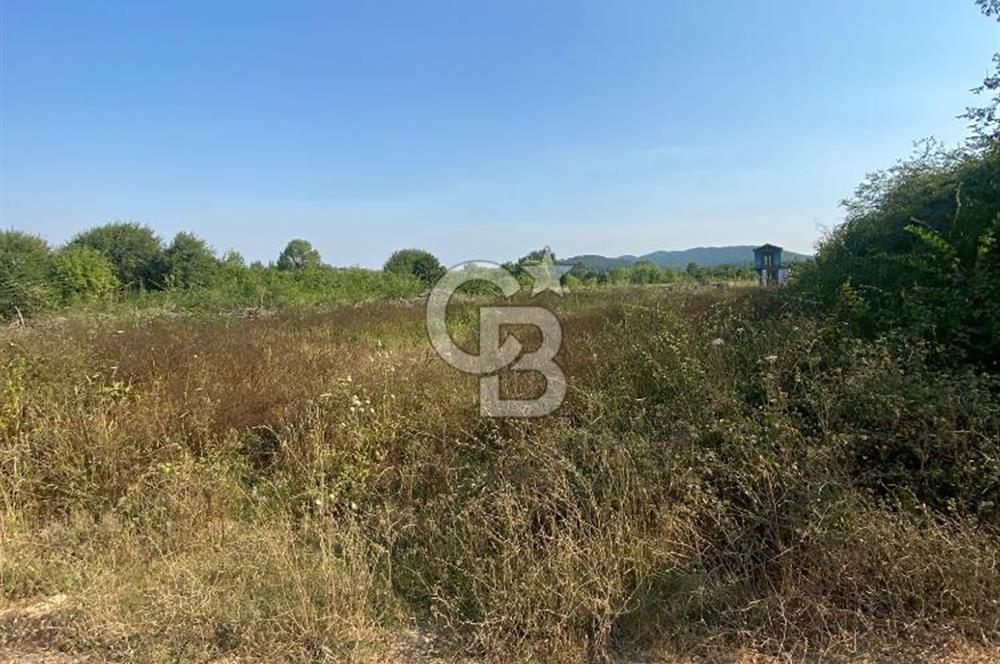 ŞİLE KURFALLI 'DA 1515 M2 YOLA CEPHELİ SATILIK YATIRIMLIK TARLA