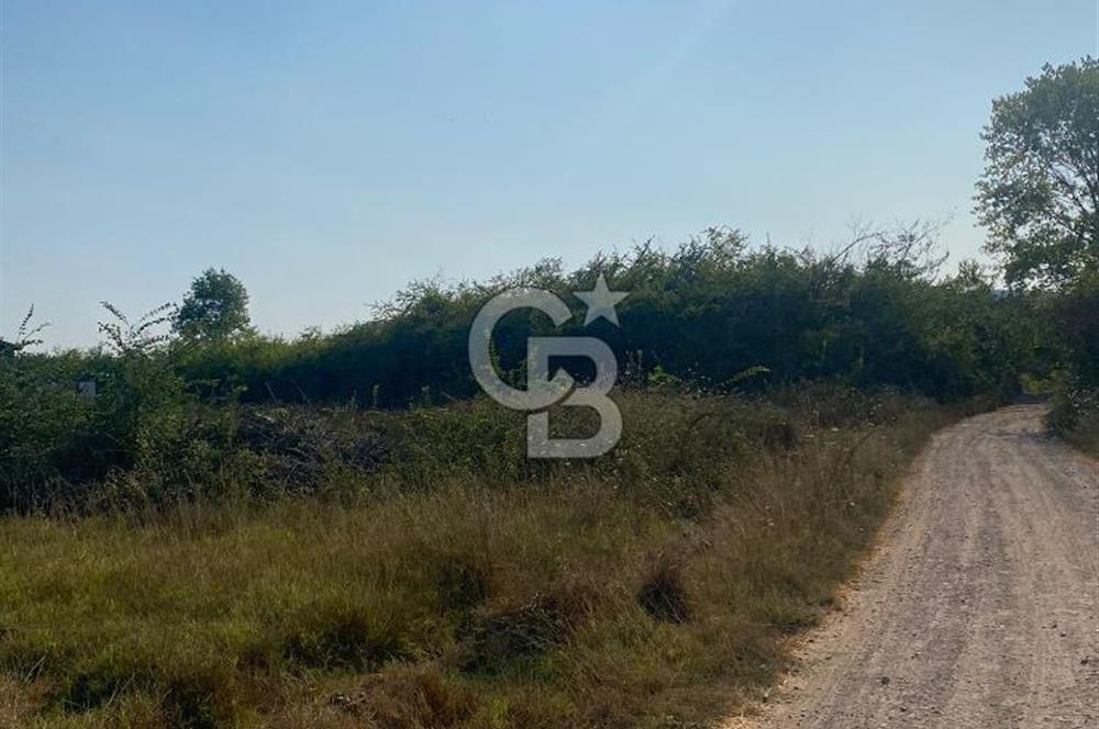 ŞİLE KURFALLI 'DA 1515 M2 YOLA CEPHELİ SATILIK YATIRIMLIK TARLA