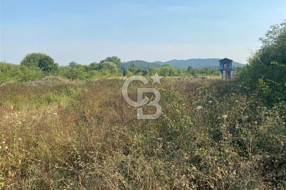 ŞİLE KURFALLI 'DA 1515 M2 YOLA CEPHELİ SATILIK YATIRIMLIK TARLA
