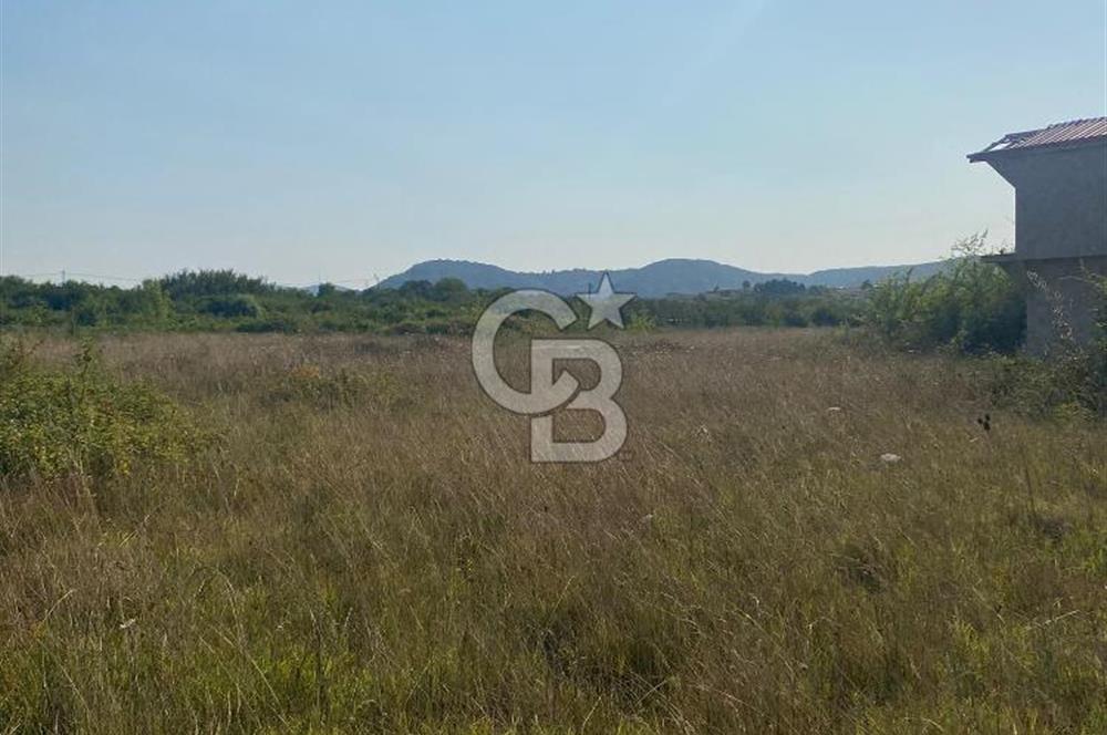ŞİLE KURFALLI 'DA 1515 M2 YOLA CEPHELİ SATILIK YATIRIMLIK TARLA