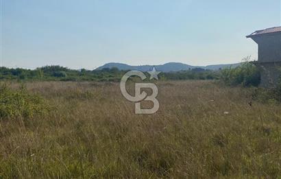 ŞİLE KURFALLI 'DA 1515 M2 YOLA CEPHELİ SATILIK YATIRIMLIK TARLA
