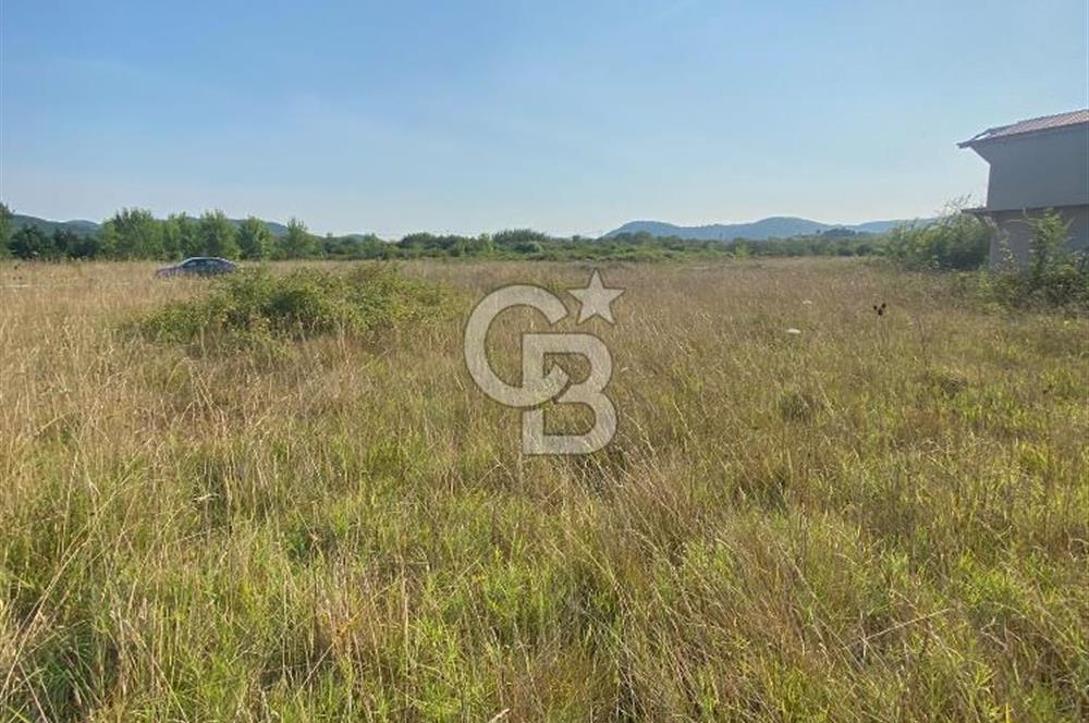 ŞİLE KURFALLI 'DA 1515 M2 YOLA CEPHELİ SATILIK YATIRIMLIK TARLA