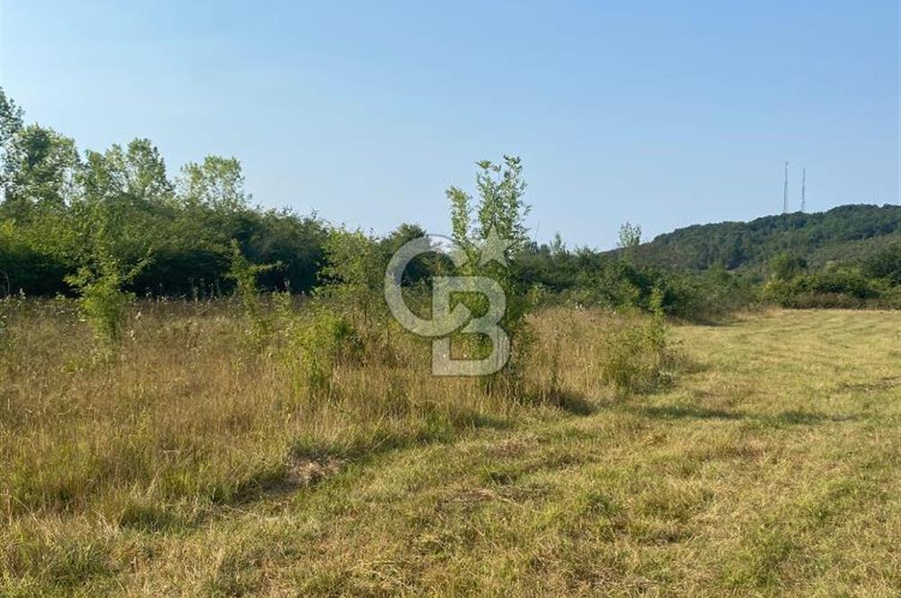 ŞİLE KURFALLI 'DA 1515 M2 YOLA CEPHELİ SATILIK YATIRIMLIK TARLA