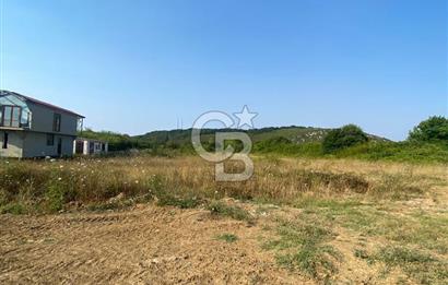 ŞİLE KURFALLI 'DA 1515 M2 YOLA CEPHELİ SATILIK YATIRIMLIK TARLA