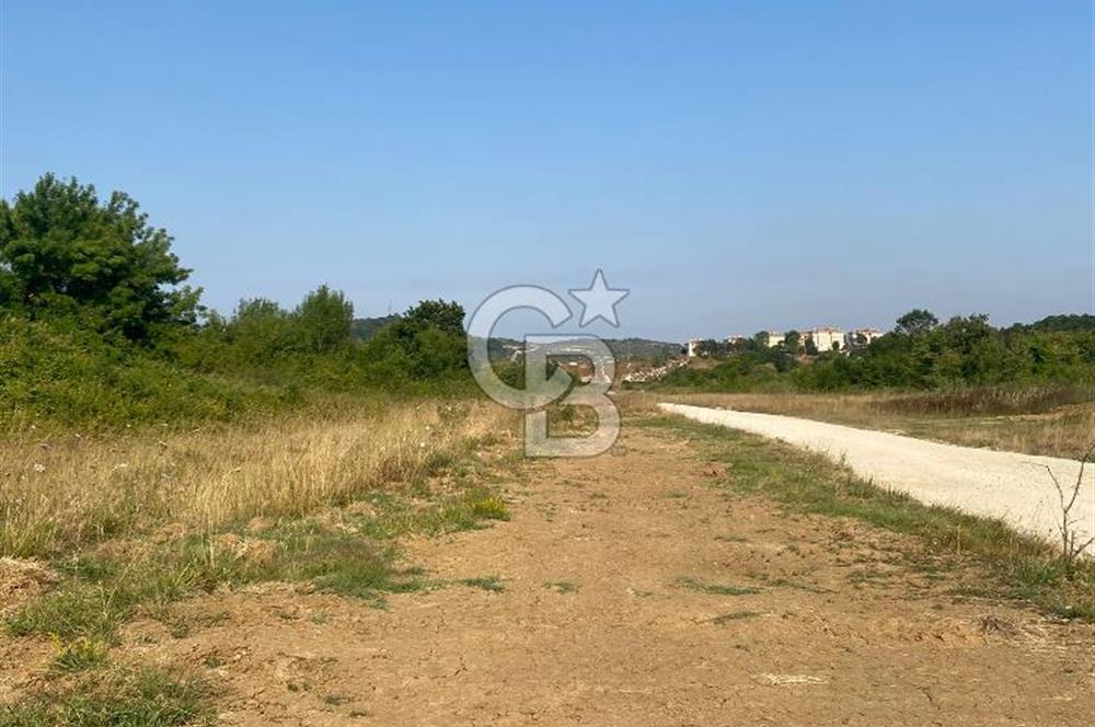 ŞİLE KURFALLI 'DA 1515 M2 YOLA CEPHELİ SATILIK YATIRIMLIK TARLA