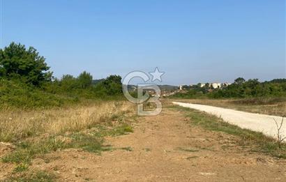 ŞİLE KURFALLI 'DA 1515 M2 YOLA CEPHELİ SATILIK YATIRIMLIK TARLA