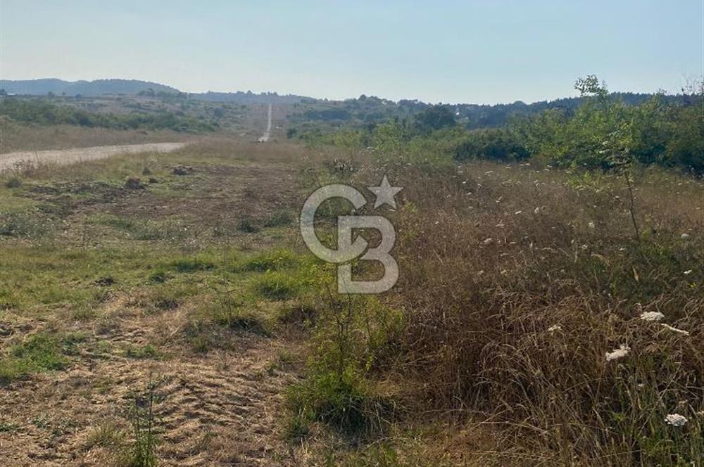 ŞİLE KURFALLI 'DA 1515 M2 YOLA CEPHELİ SATILIK YATIRIMLIK TARLA