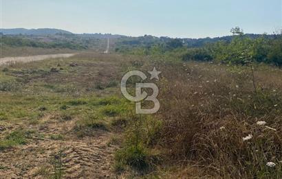 ŞİLE KURFALLI 'DA 1515 M2 YOLA CEPHELİ SATILIK YATIRIMLIK TARLA