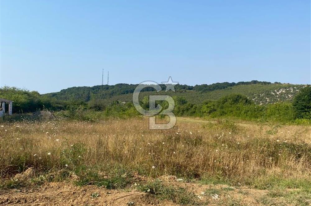 ŞİLE KURFALLI 'DA 1515 M2 YOLA CEPHELİ SATILIK YATIRIMLIK TARLA