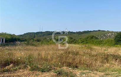 ŞİLE KURFALLI 'DA 1515 M2 YOLA CEPHELİ SATILIK YATIRIMLIK TARLA