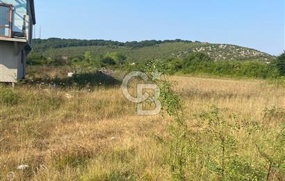 ŞİLE KURFALLI 'DA 1515 M2 YOLA CEPHELİ SATILIK YATIRIMLIK TARLA